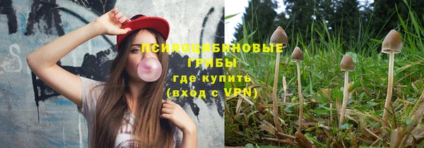 mdpv Верхний Тагил